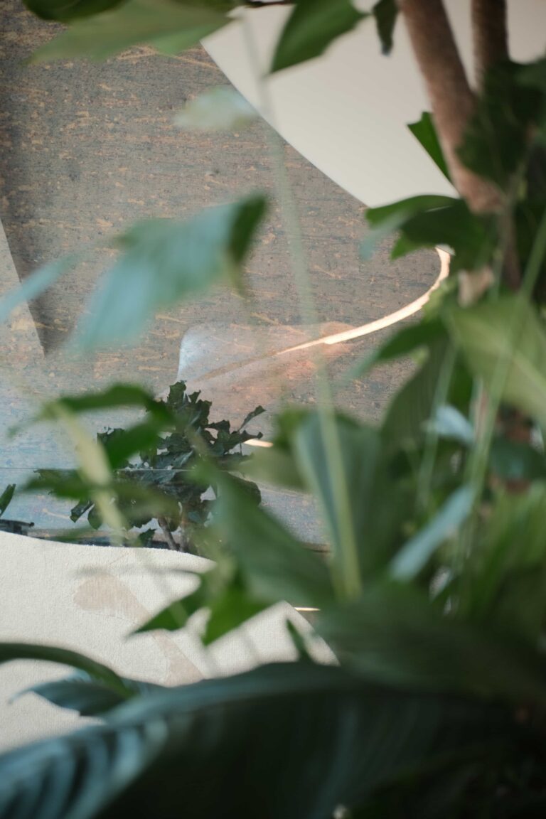 Artistic close-up of greenery reflecting on sculptural wall surfaces inside the Xenon Building