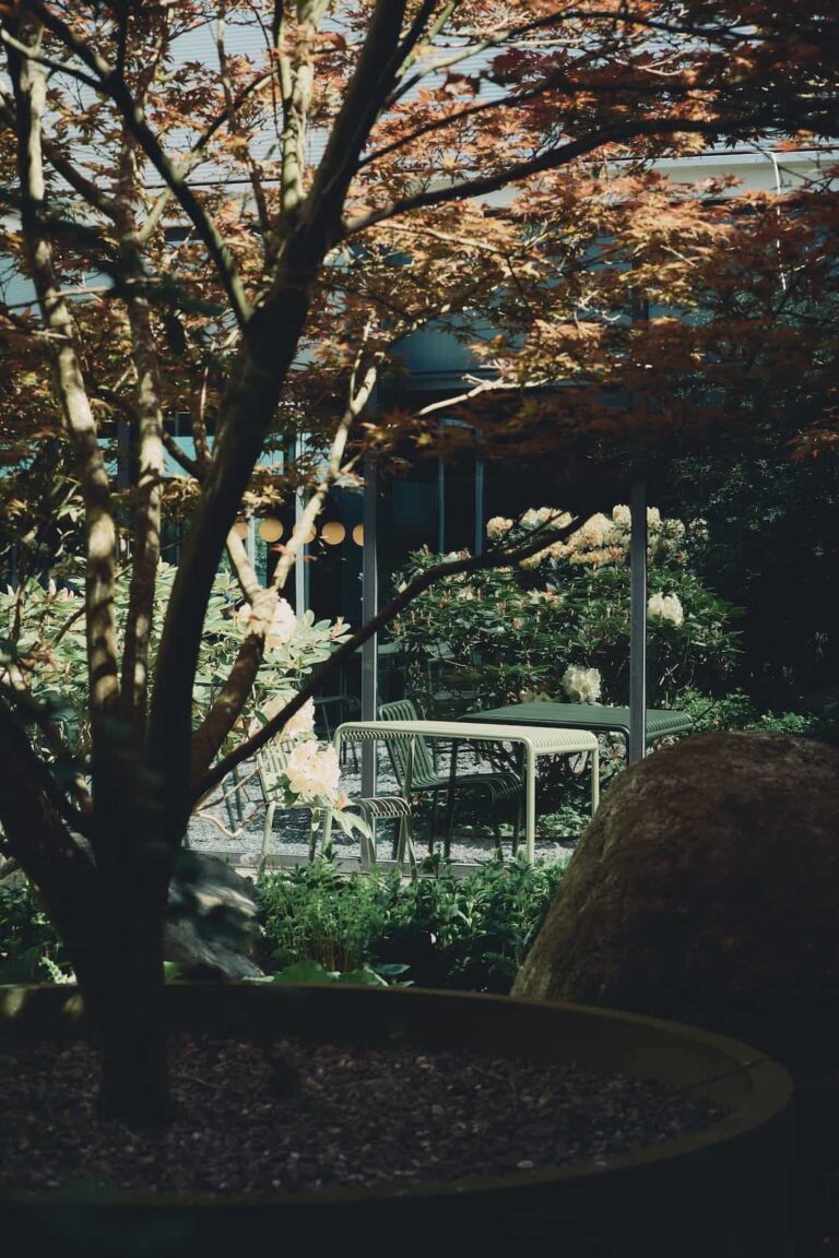 Lush garden with a maple tree and flowering bushes, seen through a glass wall next to a green outdoor seating area.